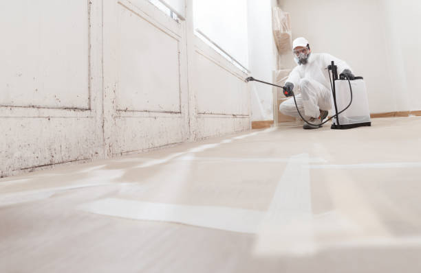 24/7 Emergency Attic Mold Removal experts in East Islip, NY