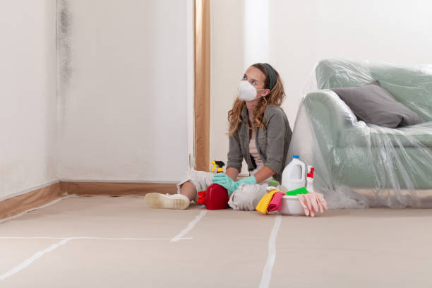 Reliable Attic Mold Removal contractor in East Islip, NY by WQB Mold Removal